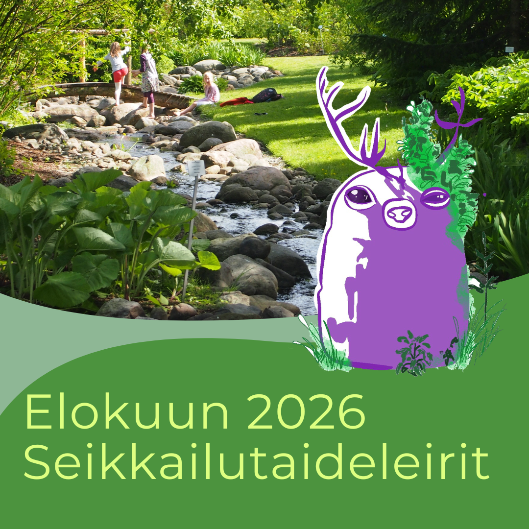 Kumpulan Seikkailutaideleiri 2: ma-ti 10.-11.8.2026